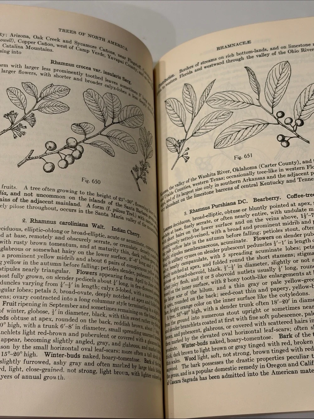 Vintage manual trees